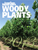 2013 American Nurseryman Woody Plants