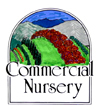 Commercial Nursery