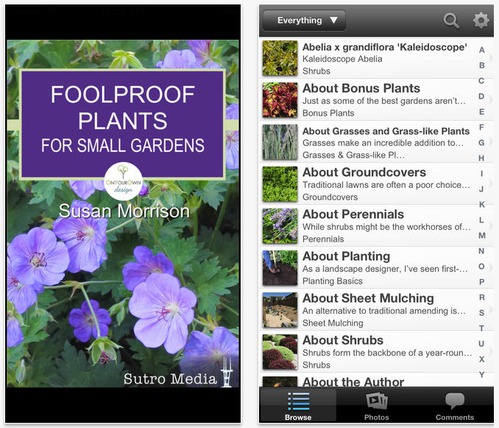 Foolproof-Plants-for-Small-Gardens