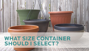 WHAT SIZE CONTAINER SHOULD I SELECT?