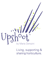 Upshoot