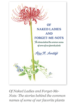 Of Naked Ladies and Forget-Me-Nots
