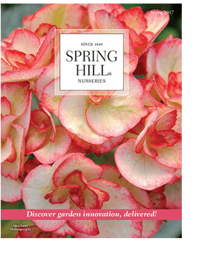 Spring Hill Nurseries